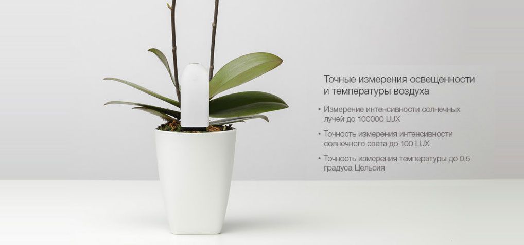 Анализатор почвы и освещенности Xiaomi Smart Flower Monitor, в деле