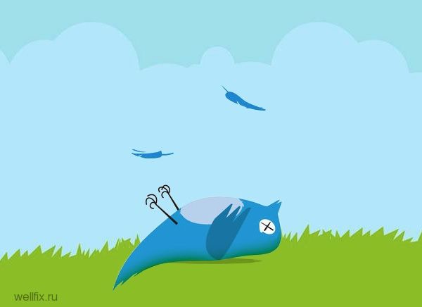 Птичку жалко: Twitter продолжает терпеть убытки